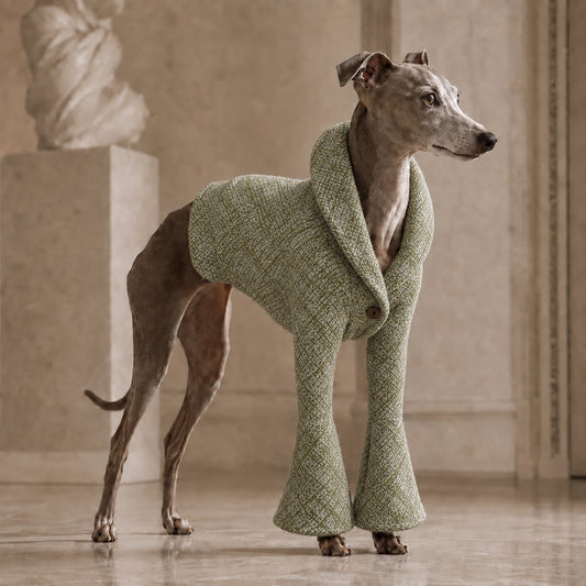 Sage Green Wool-Blend Tweed Bell-Sleeve Dog Coat