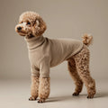 Luxury Oatmeal Merino Wool Dog Turtleneck Sweater - Anti-Static Slim-Fit Minimalist Pet Knitwear