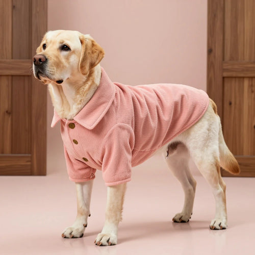 Custom pink corduroy dog shirt with classic collar and brown button closure.