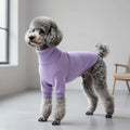 Custom ultrafine wool dog turtleneck sweater in lavender with ribbed trim.