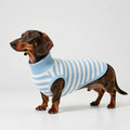  Handcrafted luxury pet sweater in light blue and white stripes, featuring superfine wool blend and fine ribbed neckline.