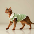 Handcrafted custom cat shirt in green Milano rib cotton-wool knit with a white ribbed collar.