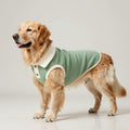 Handcrafted unlined knit dog shirt in light green with a tailored polo collar and button detailing.